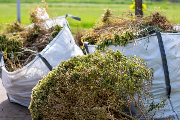 Best Local Junk Hauling  in Brighton, TN